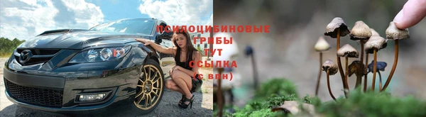 мет Абинск