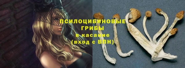 меф Абаза