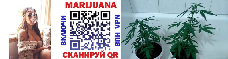 Бошки марихуана индика  продажа наркотиков  Ханты-Мансийск 